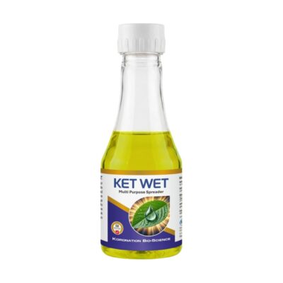 Ket Wet